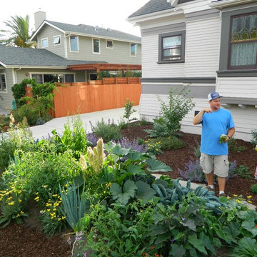 Summer Veggie Garden Planting