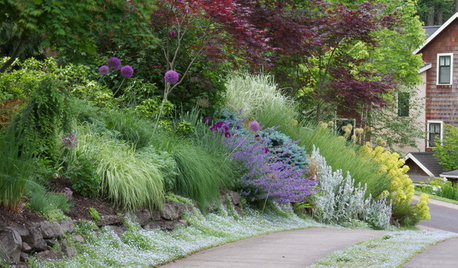 How to Make Your Driveway Part of Your Garden