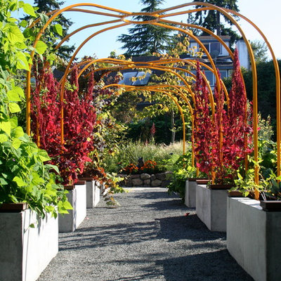 Inspiration for a contemporary landscaping in Seattle.
