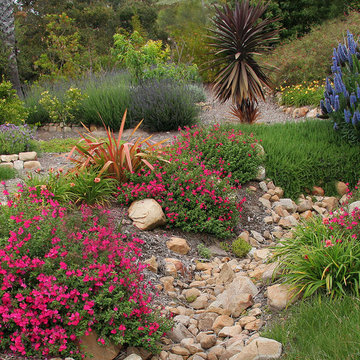 Sunny Slope with Drainage Wash, Perennials and Edibles