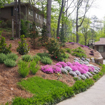 Sunny steep hillside along driveway