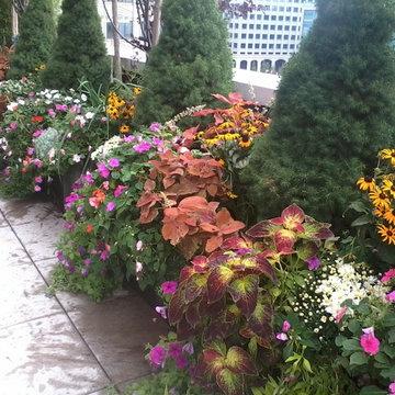 Sunny terrace flowers by NYC garden designers NY Plantings