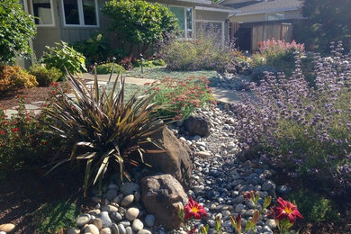 Ejemplo de jardín de secano de tamaño medio en verano en patio delantero con exposición total al sol y adoquines de piedra natural