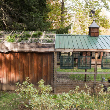 Sustainable chicken coop