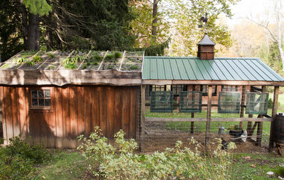 Houzz Call: Show Us Your One-of-a-Kind Chicken Coops