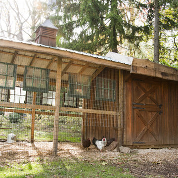 Sustainable chicken coop