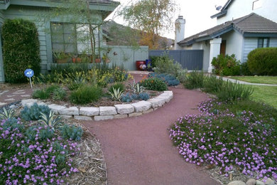 Inspiration for a small southwestern drought-tolerant and full sun front yard garden path in San Diego.