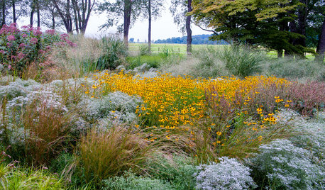 Fiori e Piante “En Masse” per Folte Macchie di Colore in Giardino