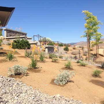 Sustainable Landscape Architecture Design - Xeriscape 1 very drought-tolerant