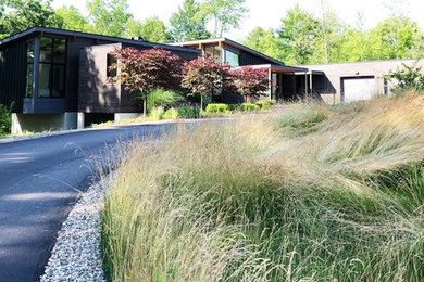 Свежая идея для дизайна: огромный летний засухоустойчивый сад на склоне в стиле модернизм с полуденной тенью - отличное фото интерьера