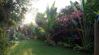 Suvarchala's Backyard Garden
