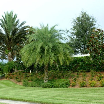 SW Florida Good-N-Green Landscapes