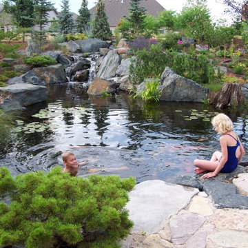 Swimming With the Koi (Photo: Courtesy of Aquascape Inc.)