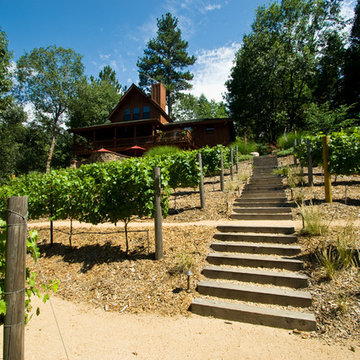 Sycamore Ranch Vineyard and Winery