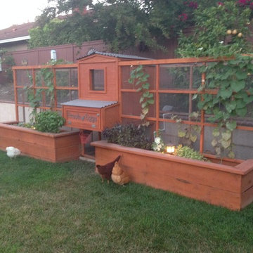 Symmetrical Garden Chicken Coop