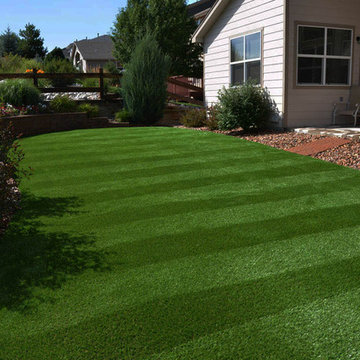 Synthetic Grass Lawn in Longmont