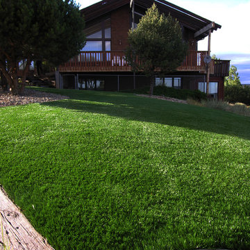 Synthetic Grass Yard in the Foothills