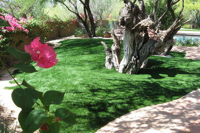Synthetic turf lawn