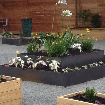 Taft Courtyard Landscape Design