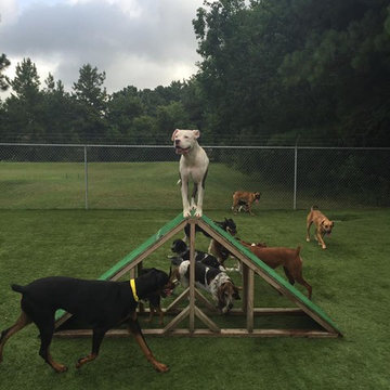 Tails of Texas, Dogie Daycare