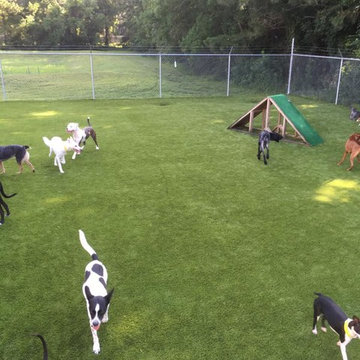 Tails of Texas, Dogie Daycare