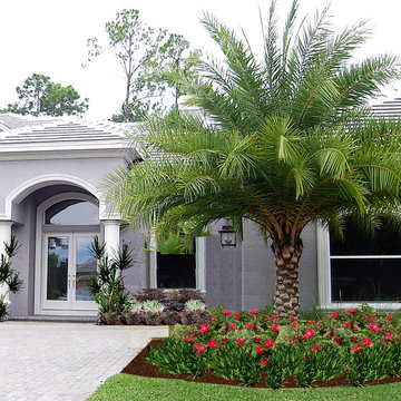 Tampa Palms Contemporary Landscape