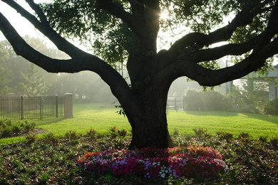 Photo of a large traditional partial sun front yard landscaping in Tampa.