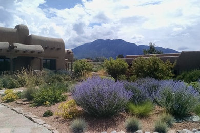 Inspiration for a southwestern drought-tolerant and full sun front yard gravel garden path in Albuquerque for summer.