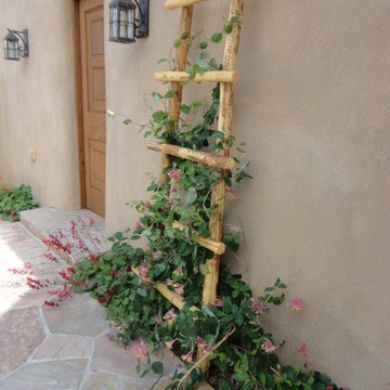 Taos Projects