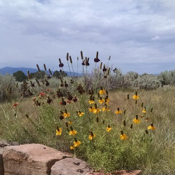 Taos Projects