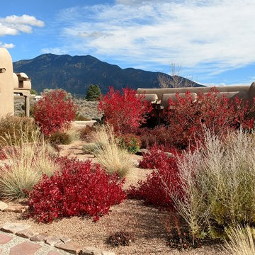 Taos Projects