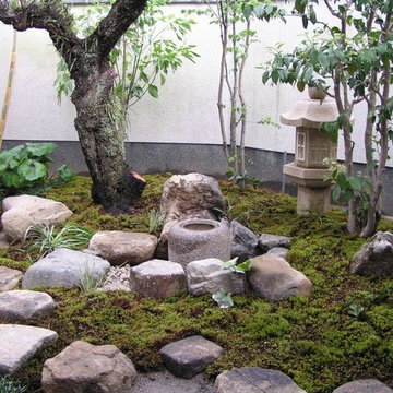 Tea Garden 1