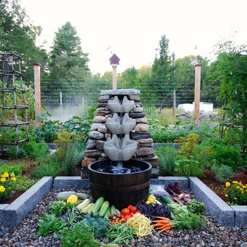 Ted's Biodynamic Garden