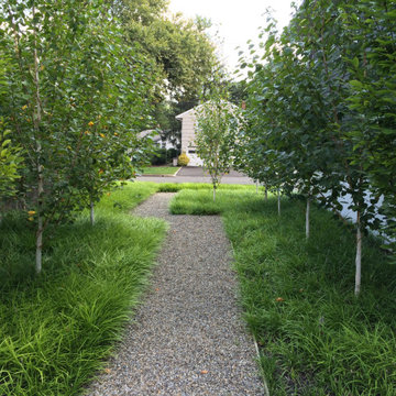 Tenafly Modern Perennial Garden