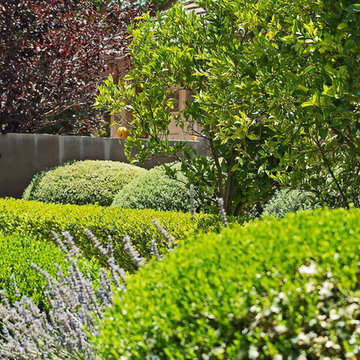 Terrace Tract Home Garden
