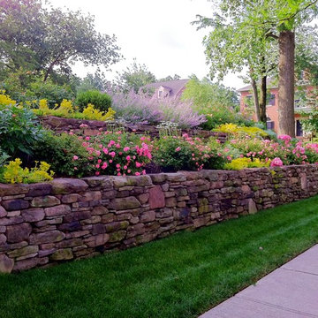 Terraced front garden