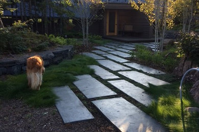 Photo of a small modern landscaping in Other.