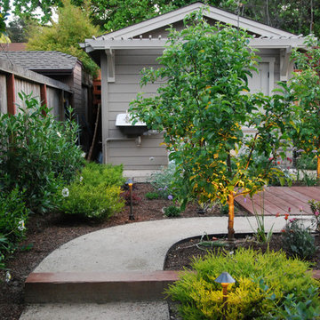The apple grove replaced a driveway and screens the detached garage while still