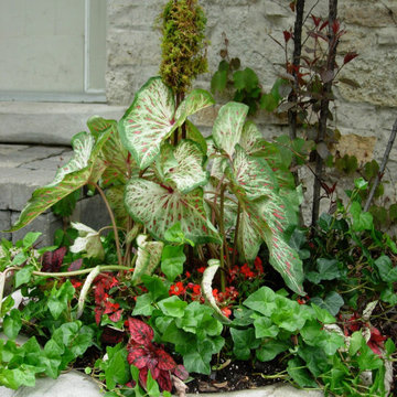 The Art of Container Gardening
