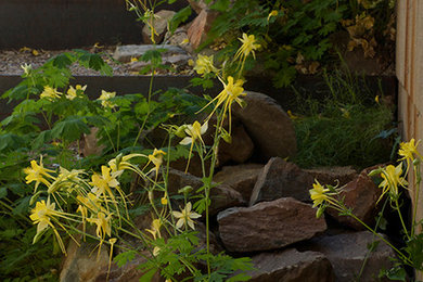 Inspiration for a mid-sized modern shade hillside landscaping in Phoenix for spring.
