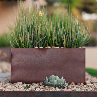 Design ideas for a mid-sized modern full sun front yard landscaping in Phoenix.