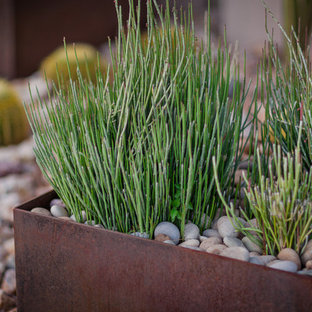 This is an example of a mid-sized modern full sun front yard landscaping in Phoenix.