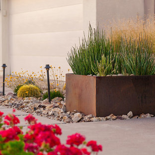 Inspiration for a mid-sized modern full sun front yard landscaping in Phoenix.