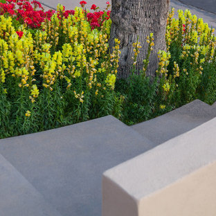 This is an example of a mid-sized modern full sun front yard landscaping in Phoenix.