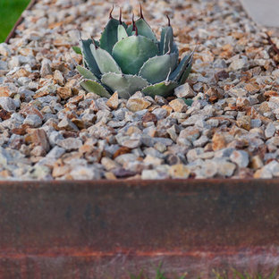 This is an example of a mid-sized modern full sun front yard landscaping in Phoenix.