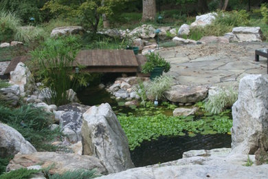 Inspiration for a mid-sized traditional full sun backyard landscaping in Raleigh.