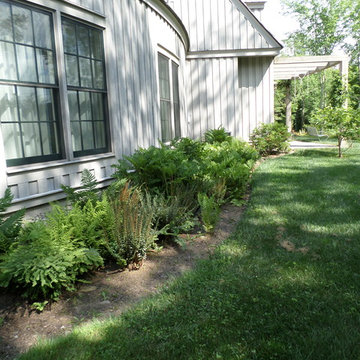 The Fern Garden