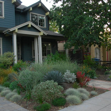 The front yard was sculpted into berms and swales for vertical interest, and pla