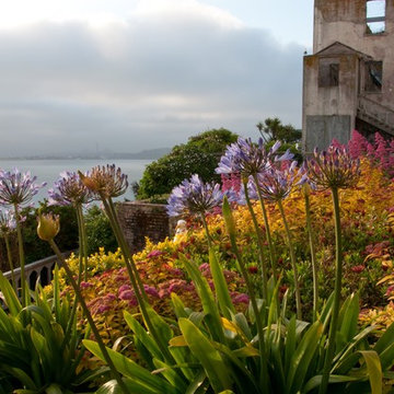 The Gardens of Alcatraz/photo by Elizabeth Byers