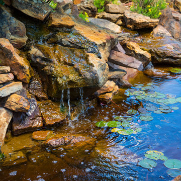 The Golden Pond and Water Features
